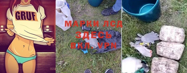 гидропоника Алзамай