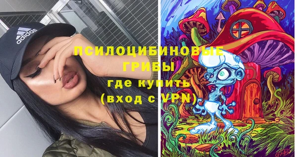 гидропоника Алзамай
