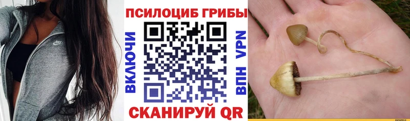 Псилоцибиновые грибы GOLDEN TEACHER Нижний Новгород